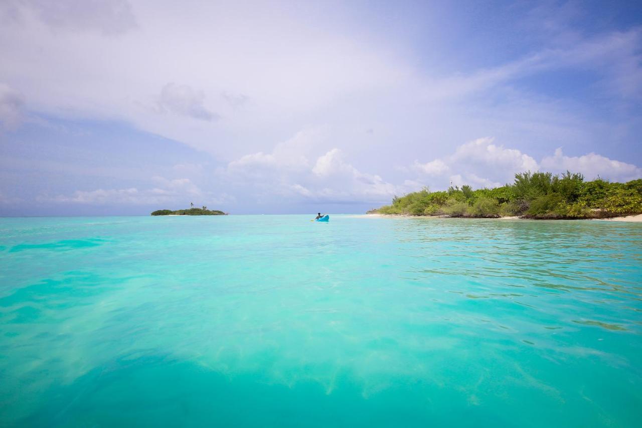 Quicksand Rasdhoo المظهر الخارجي الصورة