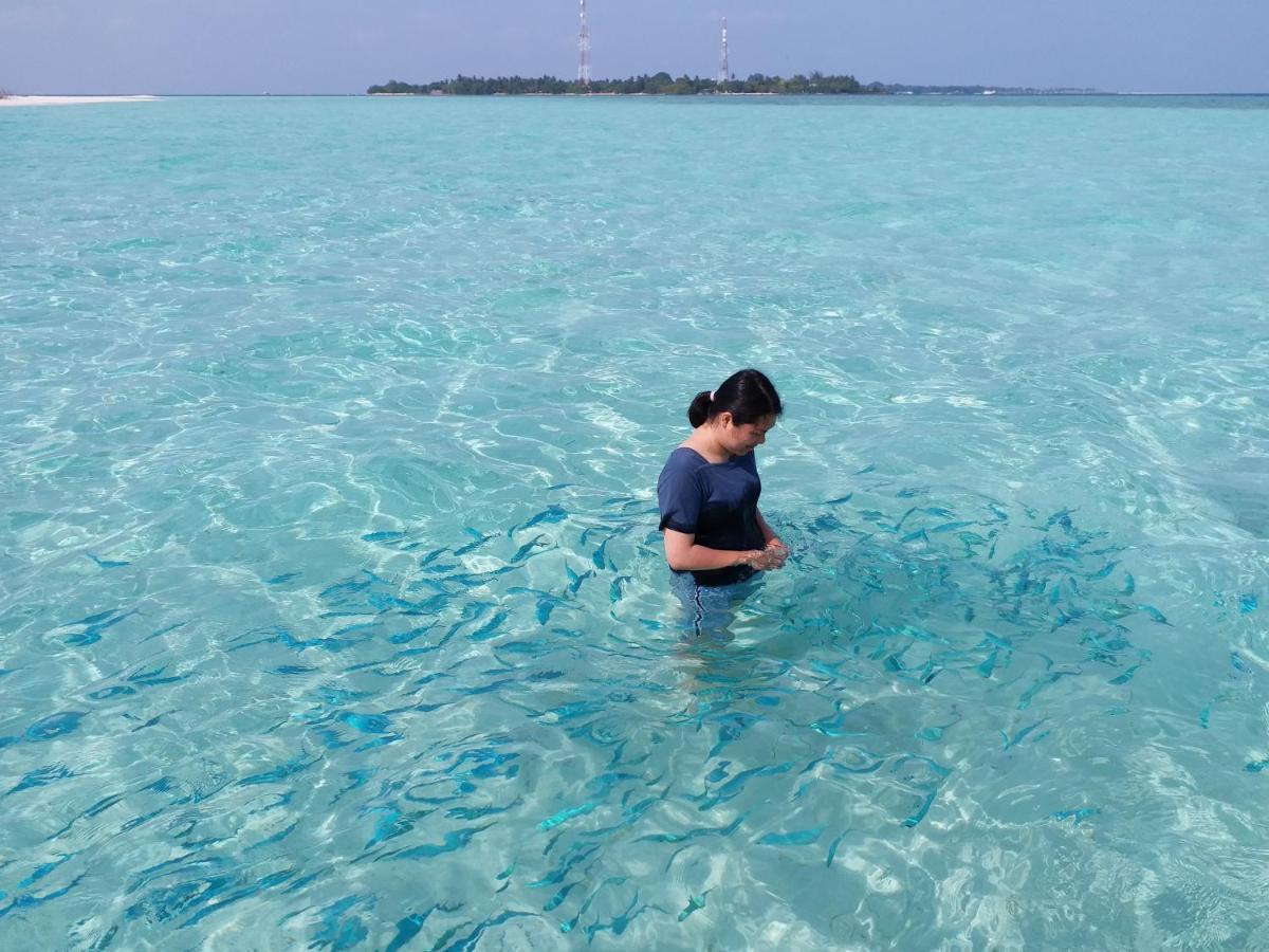 Quicksand Rasdhoo المظهر الخارجي الصورة