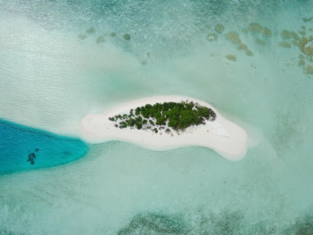 Quicksand Rasdhoo المظهر الخارجي الصورة